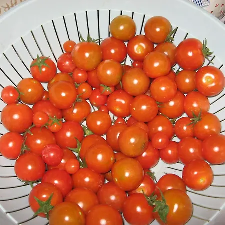 Agriturismo Lo Ratele Allein