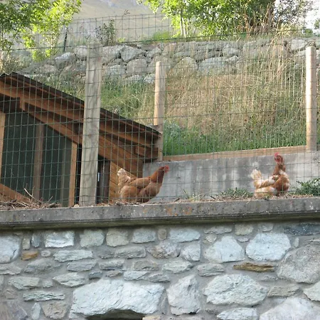 Agriturismo Lo Ratele